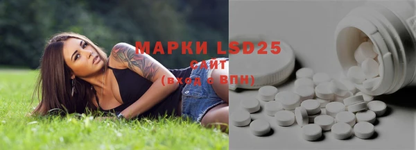мяу мяу мука Баксан
