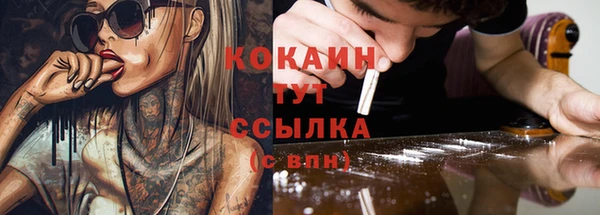 мяу мяу мука Баксан