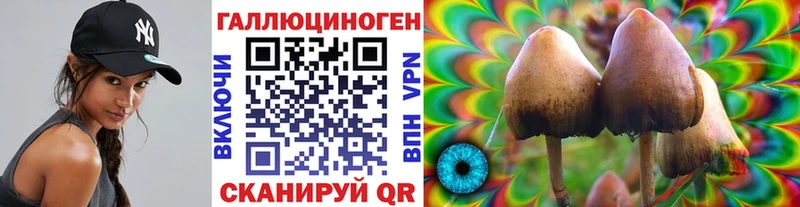 МЕГА маркетплейс  Сегежа  Псилоцибиновые грибы мицелий  как найти наркотики 