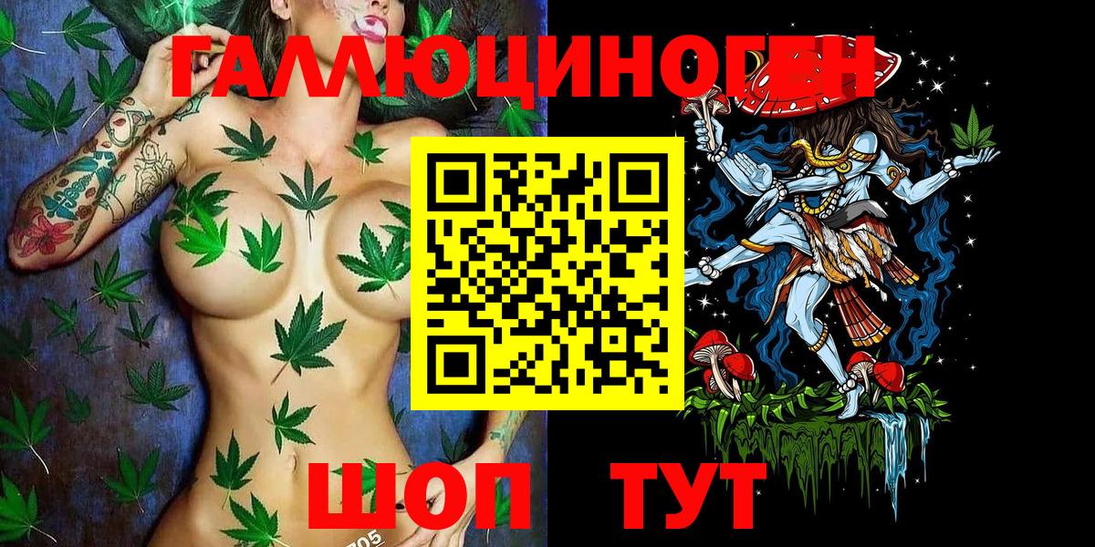 Псилоцибиновые грибы Psilocybine cubensis Сегежа